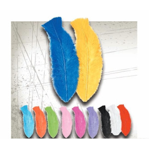 Plumas Plumas