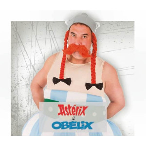 Disfraces Asterix Y Obelix Disfraces Asterix Y Obelix